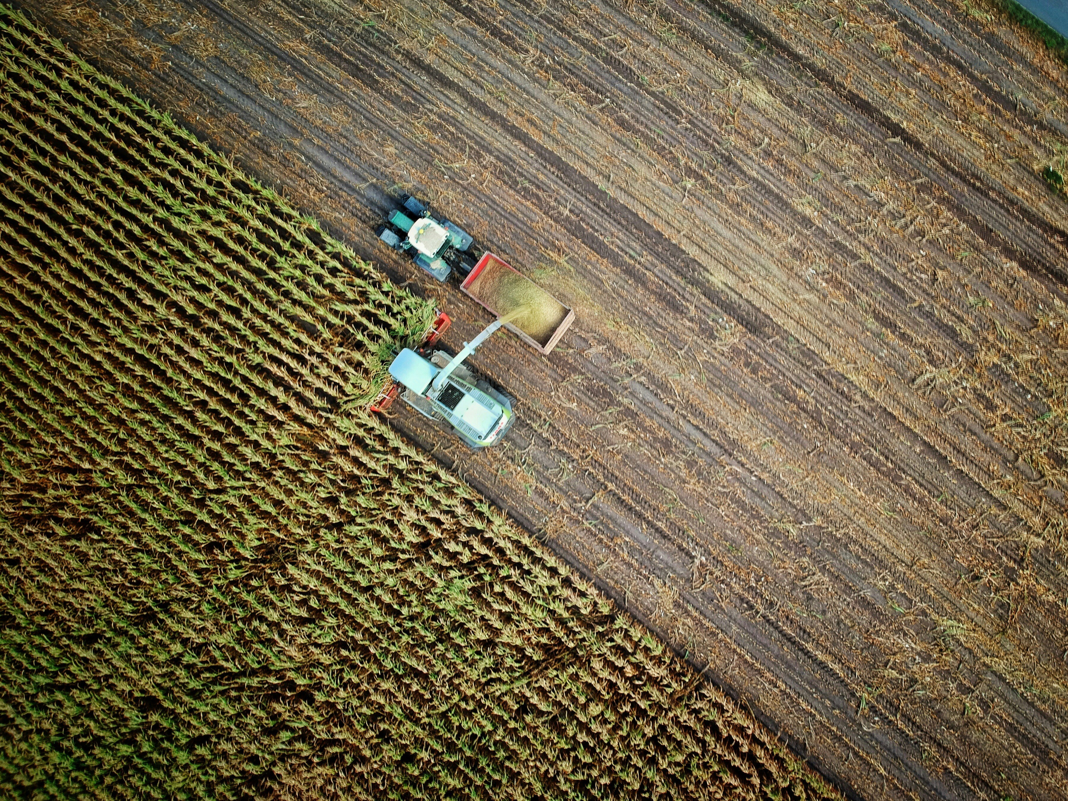 Viagro — Agricultural operations