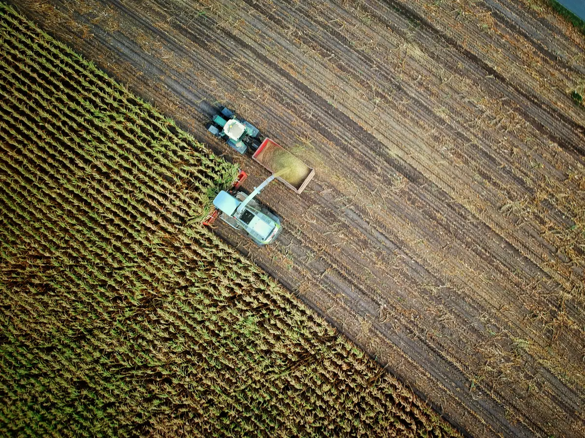 Viagro — Agricultural operations